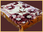Mink_Blankets